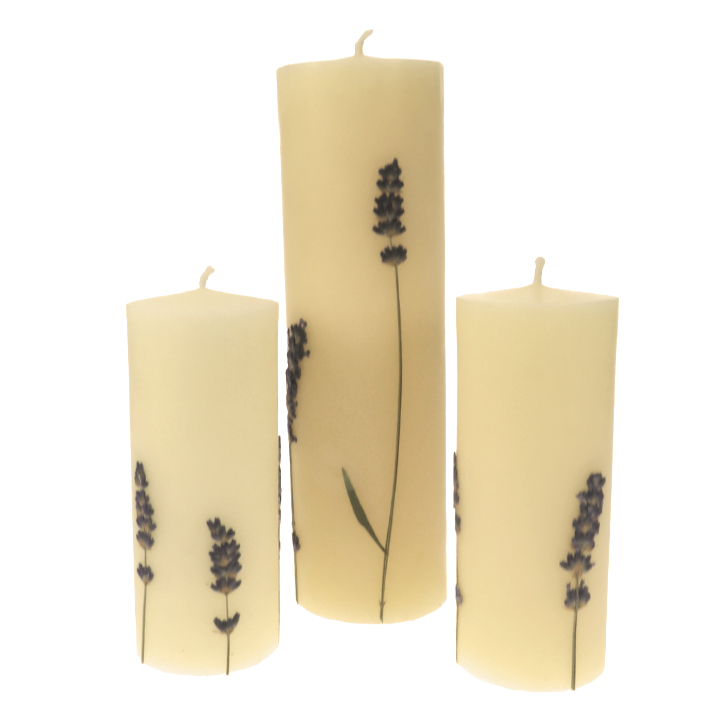 Blumen- und Pflanzen Kerze aus Bienenwachs - Lavendel